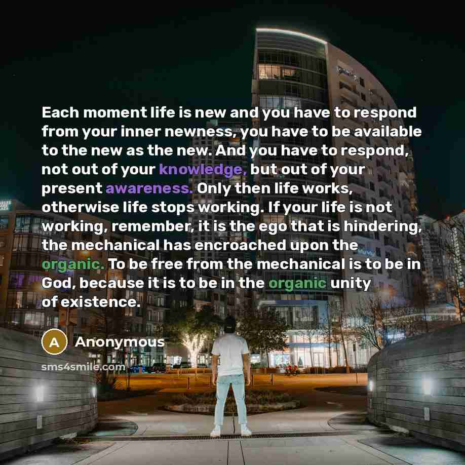 “Each moment life is new and you have to respond from your inner newness, you have to be available to the new as the new. And you have to respond, not out of your knowledge, but out of your present awareness. Only then life works, otherwise life stops working. If your life is not working, remember…” quote by Anonymous