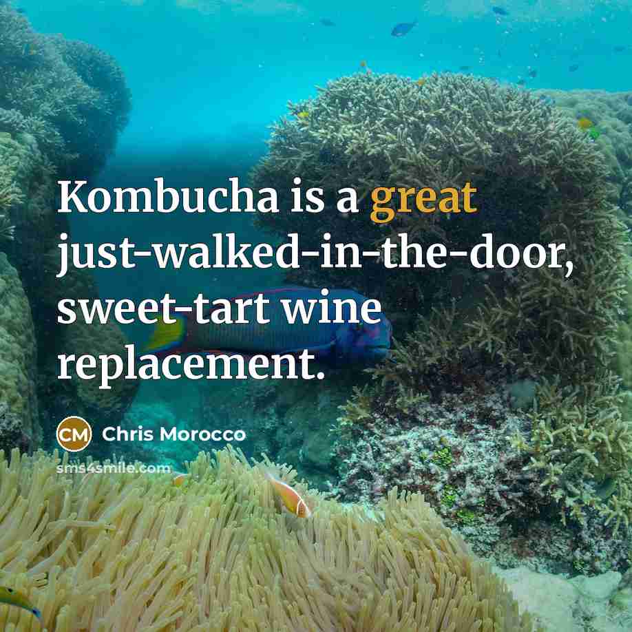 “Kombucha is a great just-walked-in-the-door, sweet-tart wine replacement.” quote by Chris Morocco