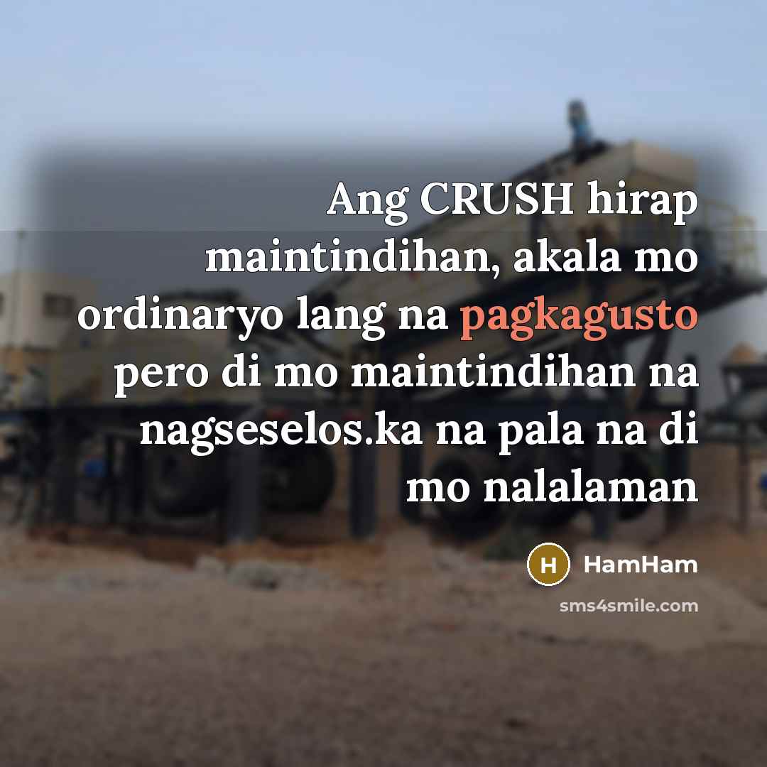 “Ang CRUSH hirap maintindihan, akala mo ordinaryo lang na pagkagusto pero di mo maintindihan na nagseselos.ka na pala na di mo nalalaman” quote by HamHam