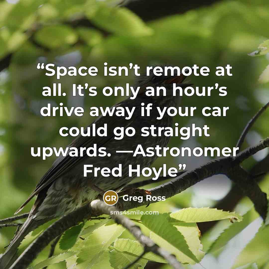 “Space isn’t remote at all. It’s only an hour’s drive away if your car could go straight upwards. —Astronomer Fred Hoyle” quote by Greg Ross