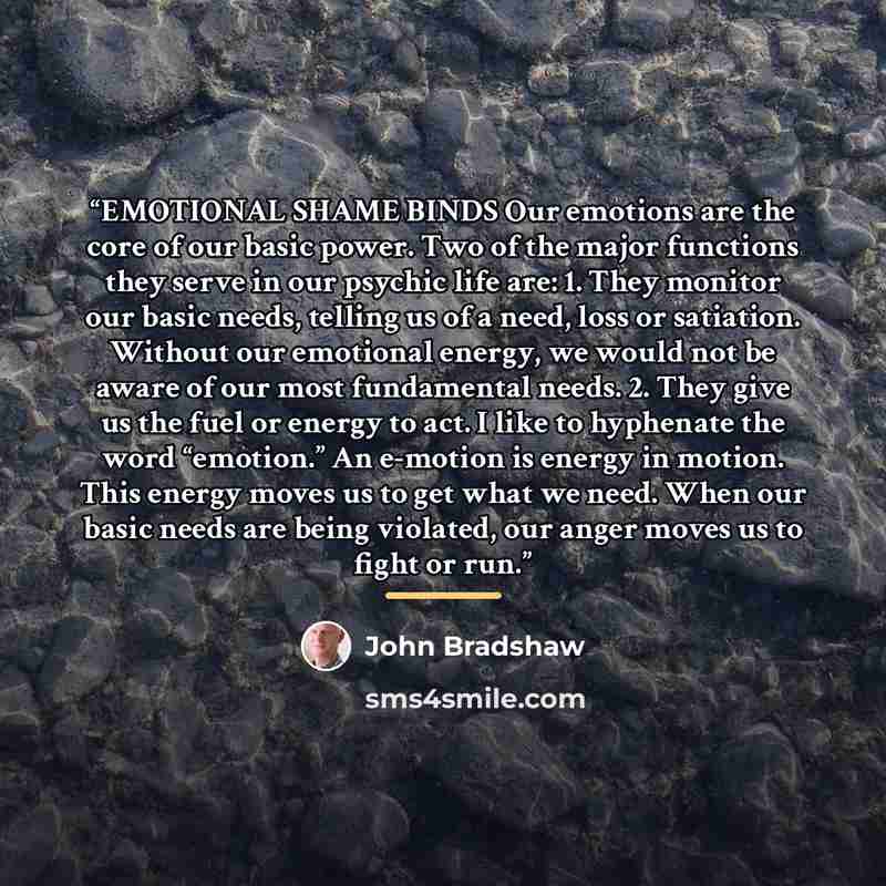 “EMOTIONAL SHAME BINDS Our emotions are the core of our basic power. Two of the major functions they serve in our psychic life are: 1. They monitor our basic needs, telling us of a need, loss or satiation. Without our emotional energy, we would not be aware of our most fundamental needs. 2. They…” quote by John Bradshaw