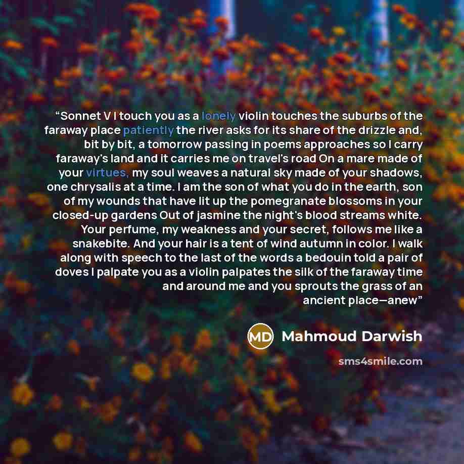 “Sonnet V I touch you as a lonely violin touches the suburbs of the faraway place patiently the river asks for its share of the drizzle and, bit by bit, a tomorrow passing in poems approaches so I carry faraway's land and it carries me on travel's road On a mare made of your virtues, my soul weaves…” quote by Mahmoud Darwish