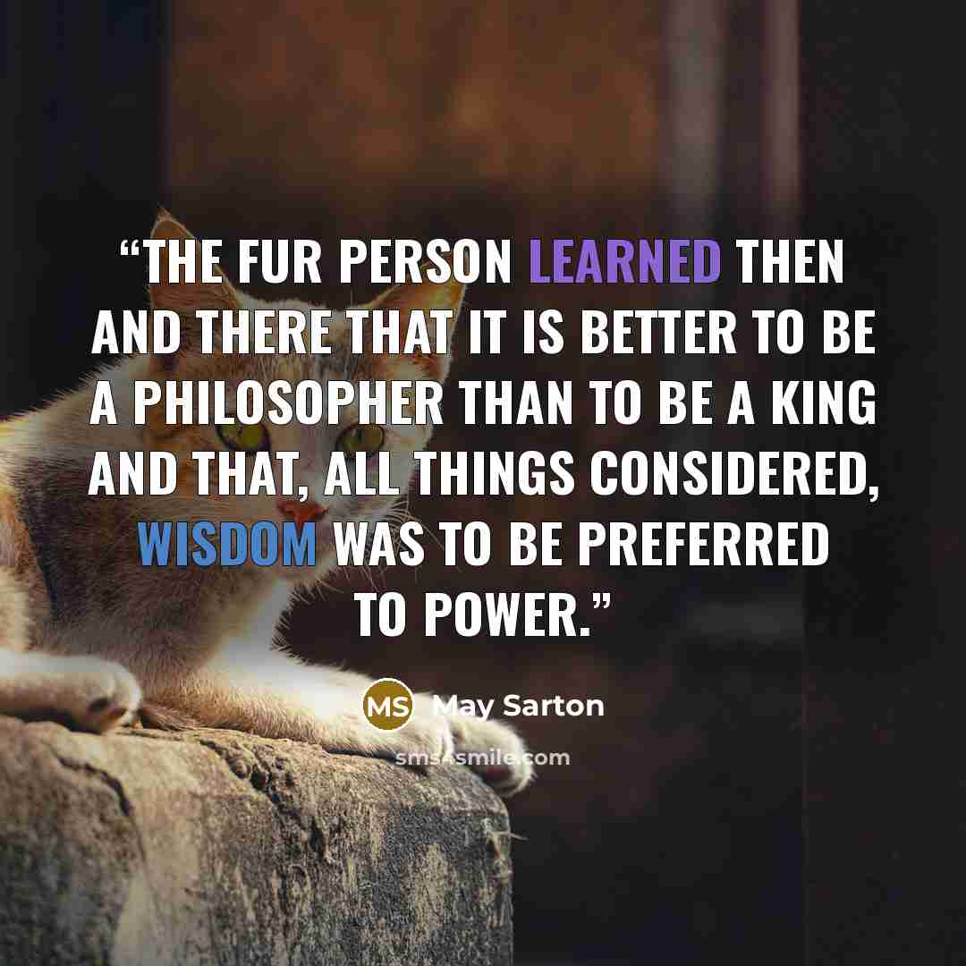 “The Fur Person learned then and there that it is better to be a philosopher than to be a king and that, all things considered, wisdom was to be preferred to power.” quote by May Sarton