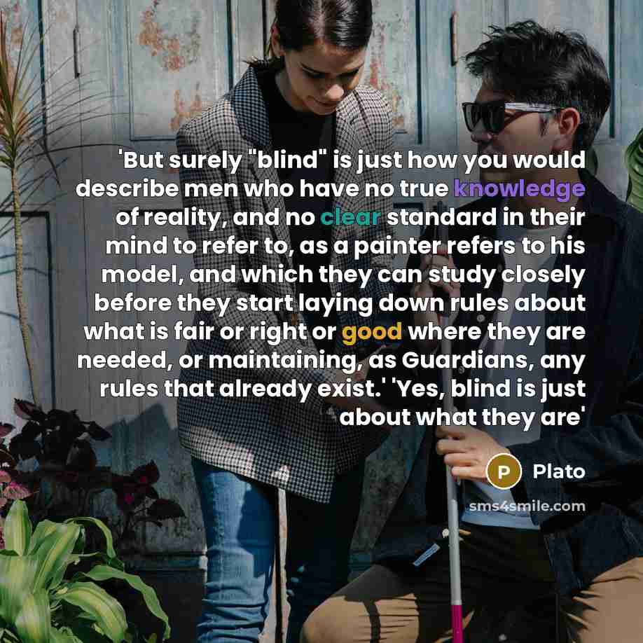 “'But surely "blind" is just how you would describe men who have no true knowledge of reality, and no clear standard in their mind to refer to, as a painter refers to his model, and which they can study closely before they start laying down rules about what is fair or right or good where they are…” quote by Plato