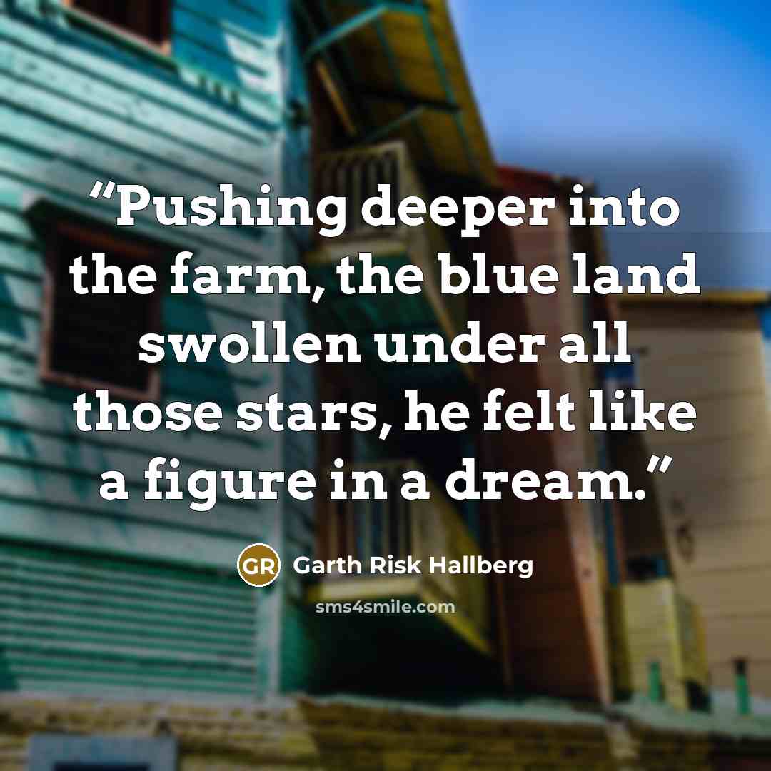 “Pushing deeper into the farm, the blue land swollen under all those stars, he felt like a figure in a dream.” quote by Garth Risk Hallberg