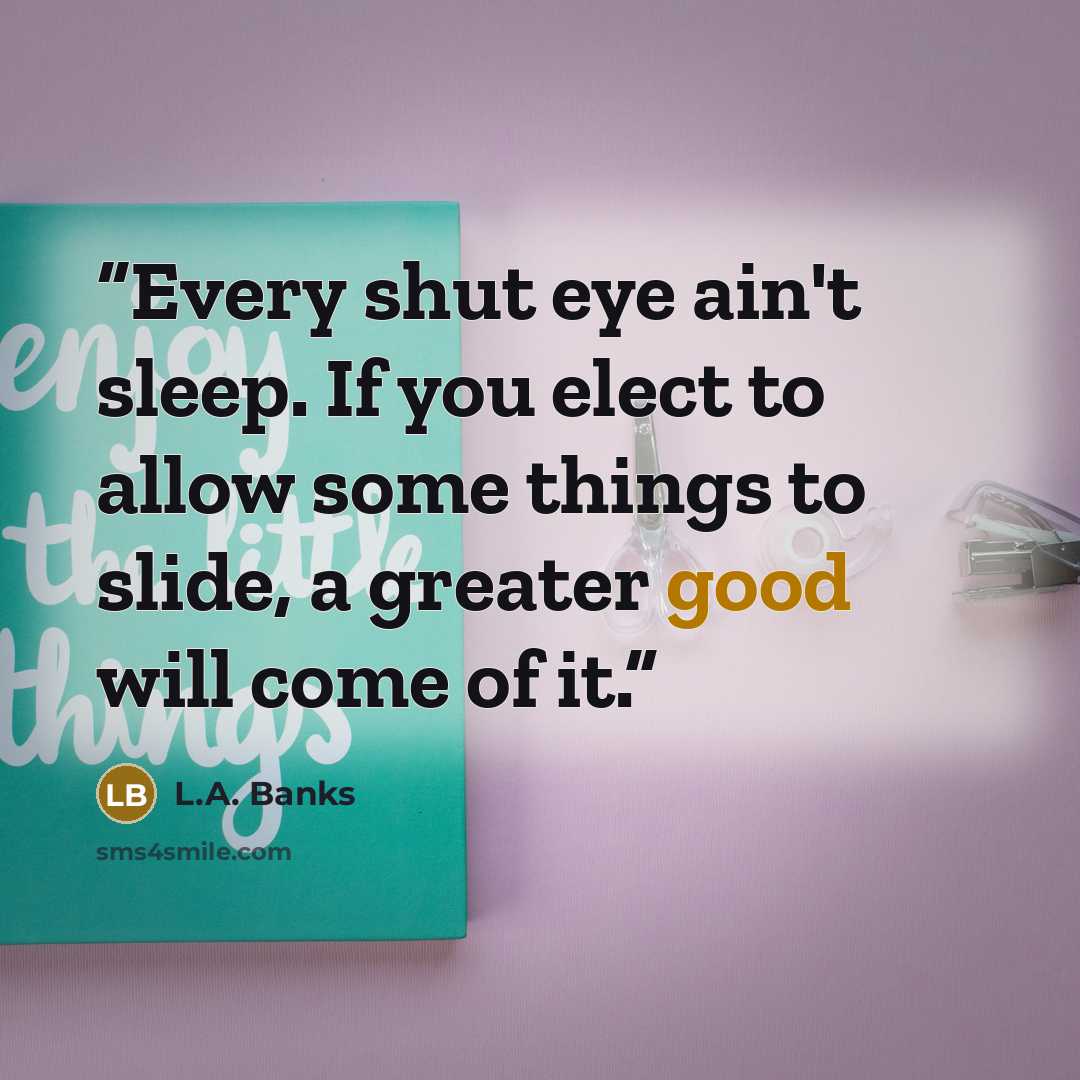 “Every shut eye ain't sleep. If you elect to allow some things to slide, a greater good will come of it.” quote by L.A. Banks
