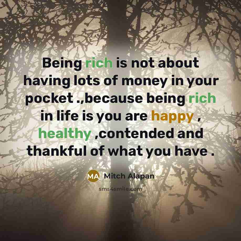 “Being rich is not about having lots of money in your pocket .,because being rich in life is you are happy , healthy ,contended and thankful of what you have .” quote by Mitch Alapan