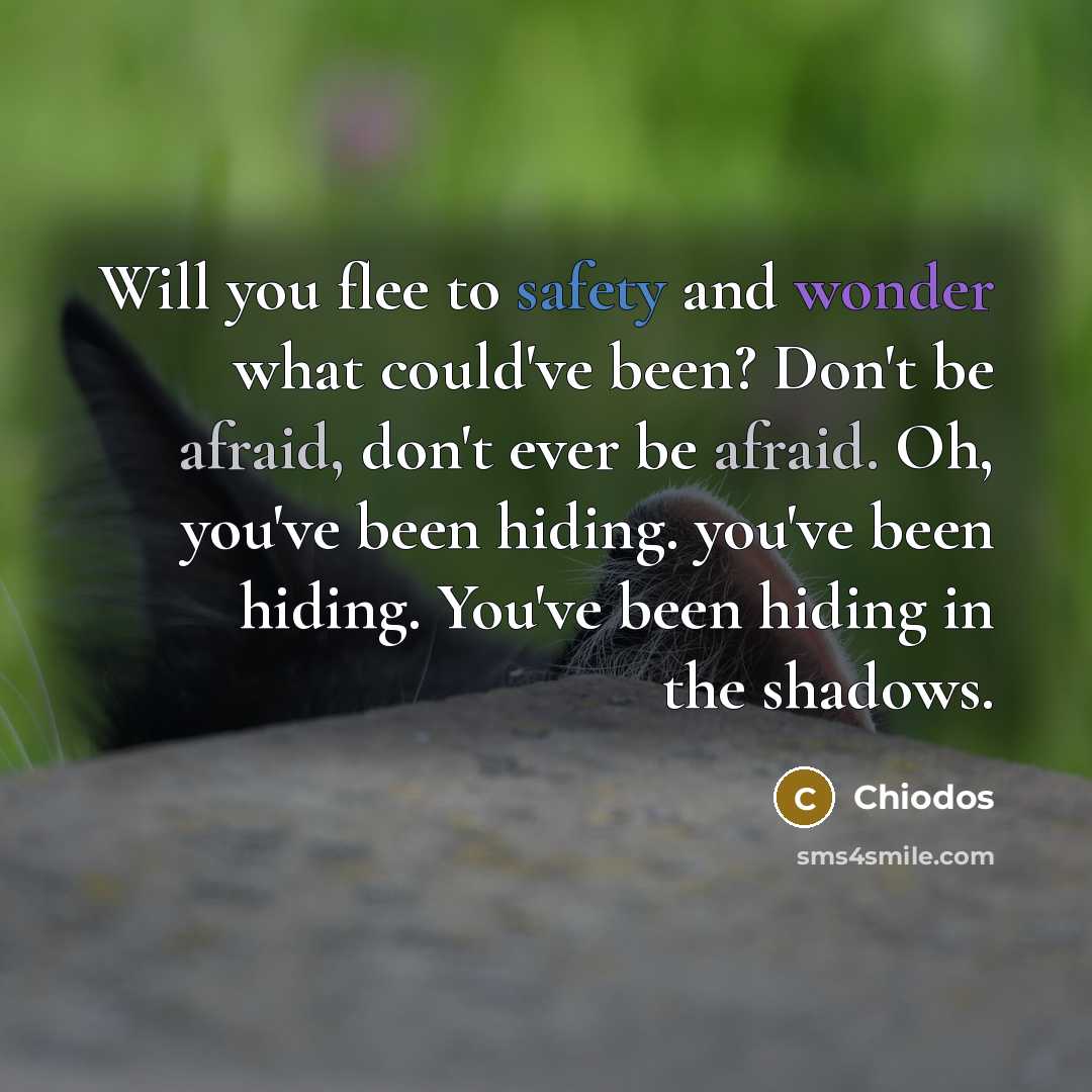 “Will you flee to safety and wonder what could've been? Don't be afraid, don't ever be afraid. Oh, you've been hiding. you've been hiding. You've been hiding in the shadows.” quote by Chiodos