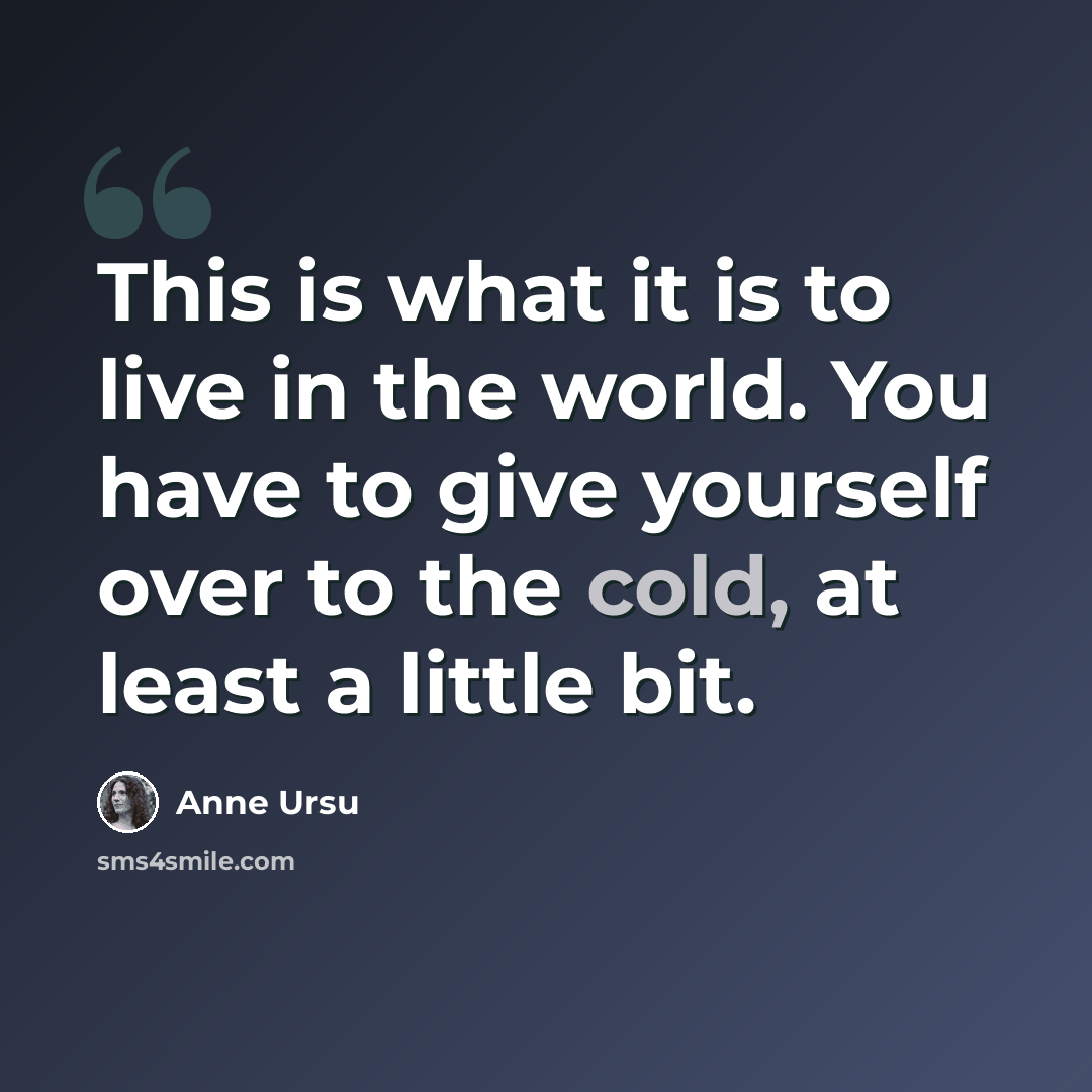 “This is what it is to live in the world. You have to give yourself over to the cold, at least a little bit.” quote by Anne Ursu