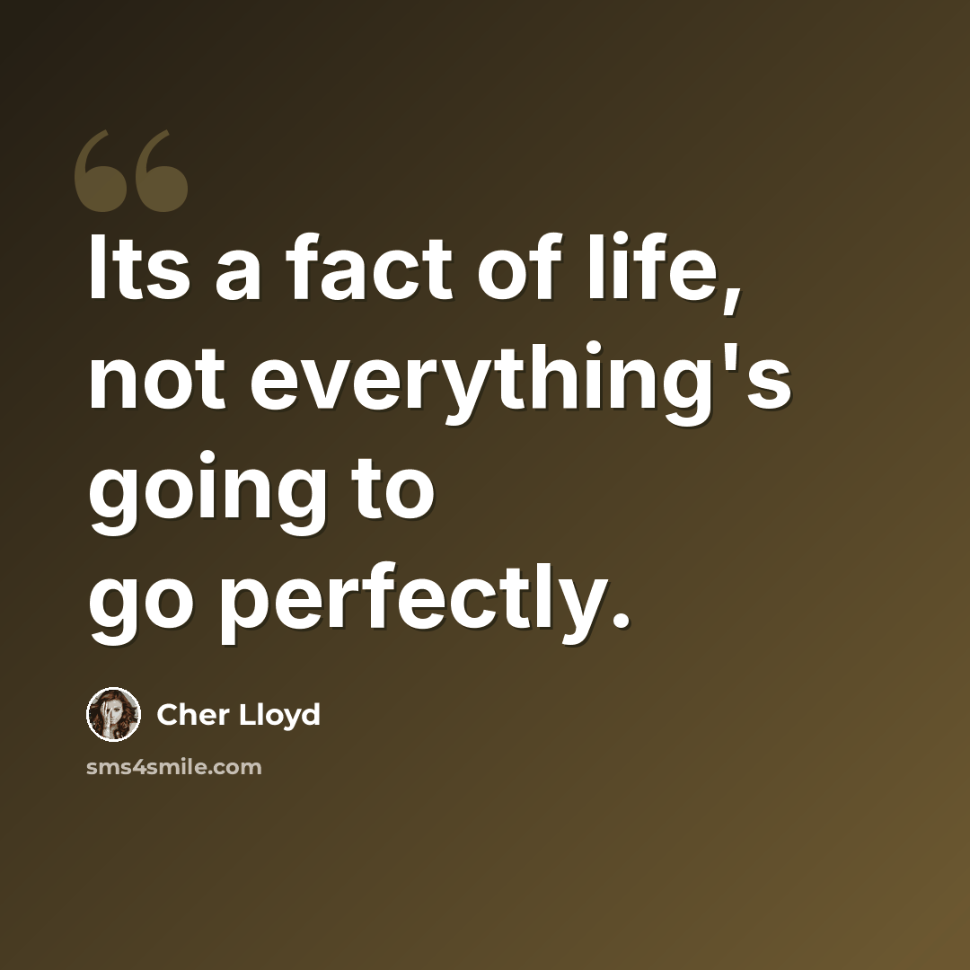 “Its a fact of life, not everything's going to go perfectly.” quote by Cher Lloyd