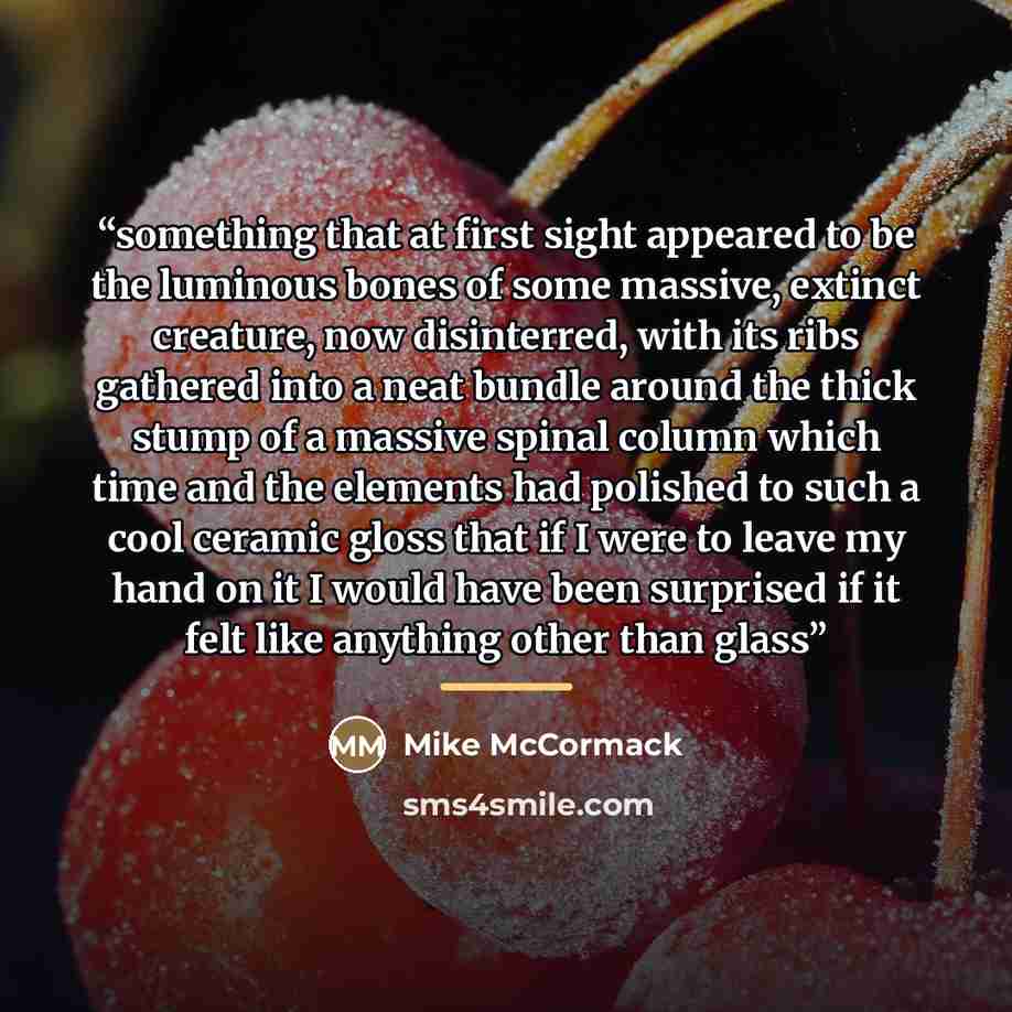 “something that at first sight appeared to be the luminous bones of some massive, extinct creature, now disinterred, with its ribs gathered into a neat bundle around the thick stump of a massive spinal column which time and the elements had polished to such a cool ceramic gloss that if I were to…” quote by Mike McCormack