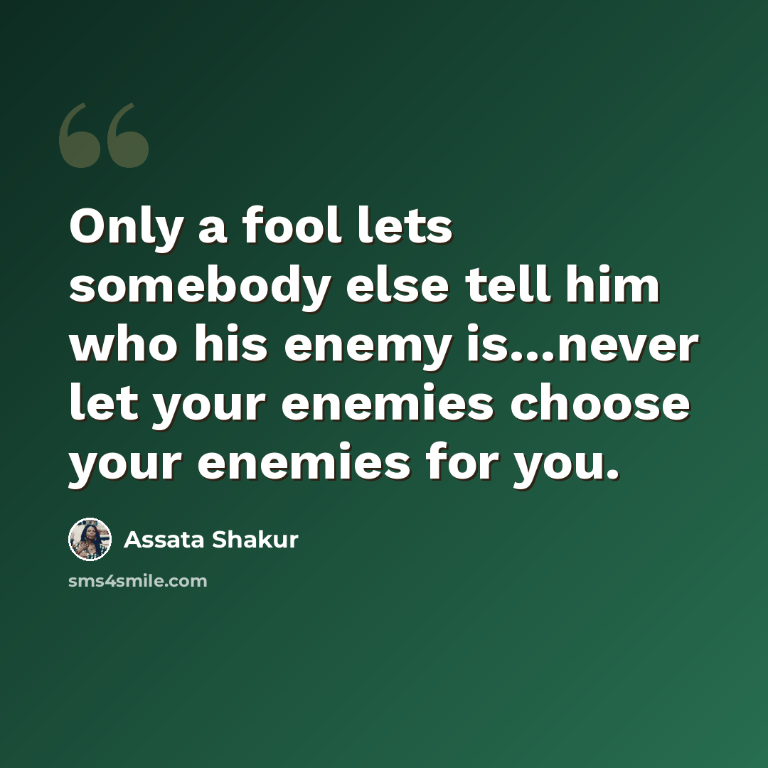 “Only a fool lets somebody else tell him who his enemy is…never let your enemies choose your enemies for you.” quote by Assata Shakur