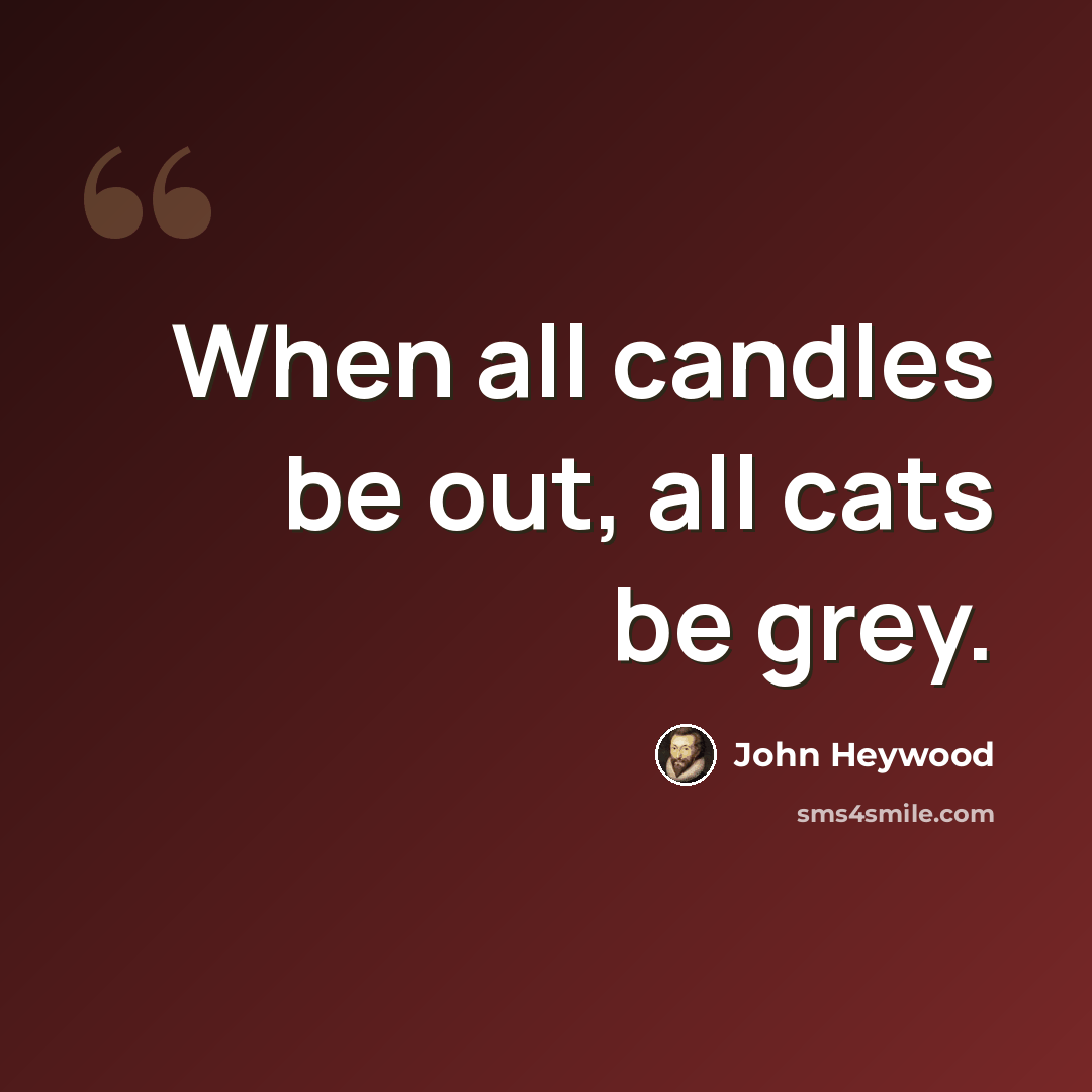 “When all candles be out, all cats be grey.” quote by John Heywood