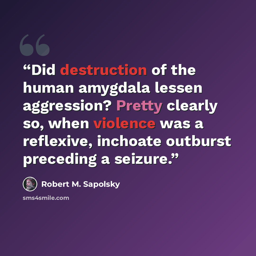 “Did destruction of the human amygdala lessen aggression? Pretty clearly so, when violence was a reflexive, inchoate outburst preceding a seizure.” quote by Robert M. Sapolsky