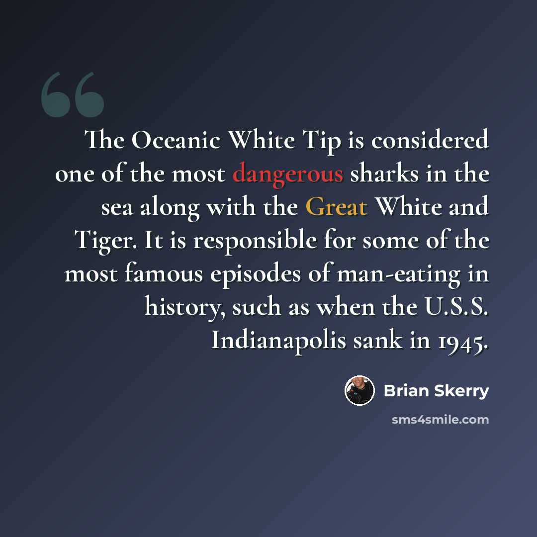 “The Oceanic White Tip is considered one of the most dangerous sharks in the sea along with the Great White and Tiger. It is responsible for some of the most famous episodes of man-eating in history, such as when the U.S.S. Indianapolis sank in 1945.” quote by Brian Skerry
