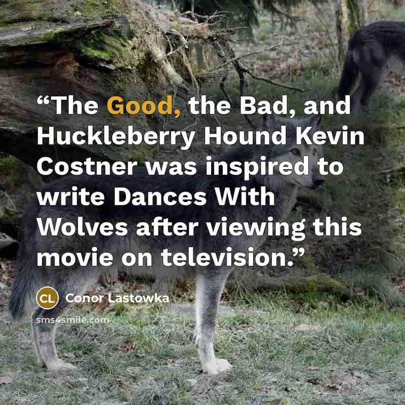 “The Good, the Bad, and Huckleberry Hound Kevin Costner was inspired to write Dances With Wolves after viewing this movie on television.” quote by Conor Lastowka
