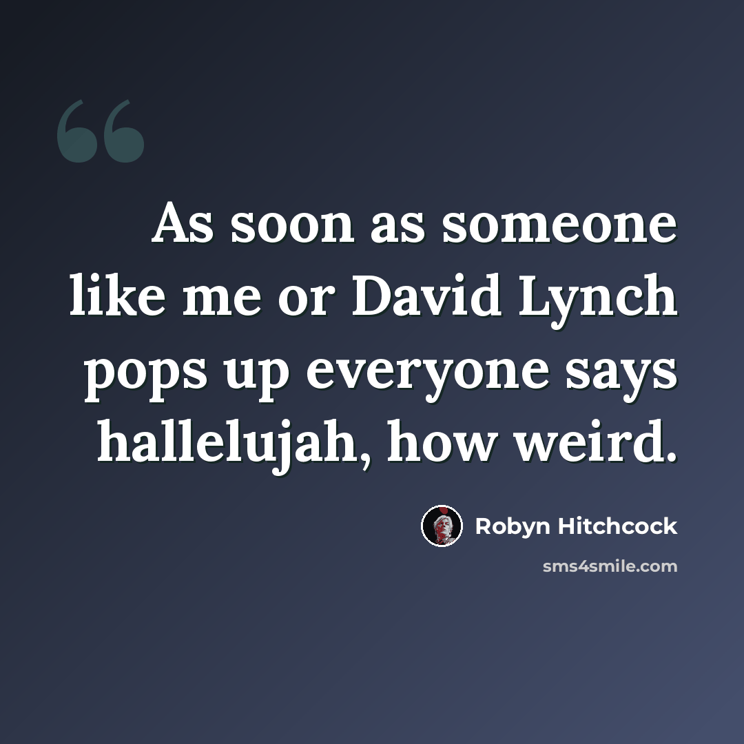 “As soon as someone like me or David Lynch pops up everyone says hallelujah, how weird.” quote by Robyn Hitchcock