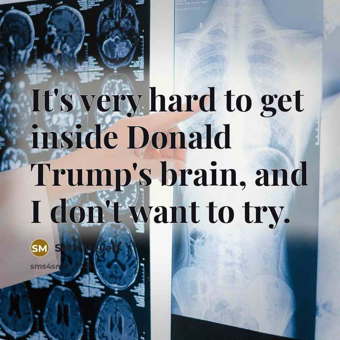 “It's very hard to get inside Donald Trump's brain, and I don't want to try.” quote by Seth Meyers