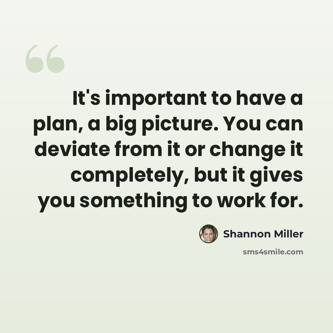 “It's important to have a plan, a big picture. You can deviate from it or change it completely, but it gives you something to work for.” quote by Shannon Miller
