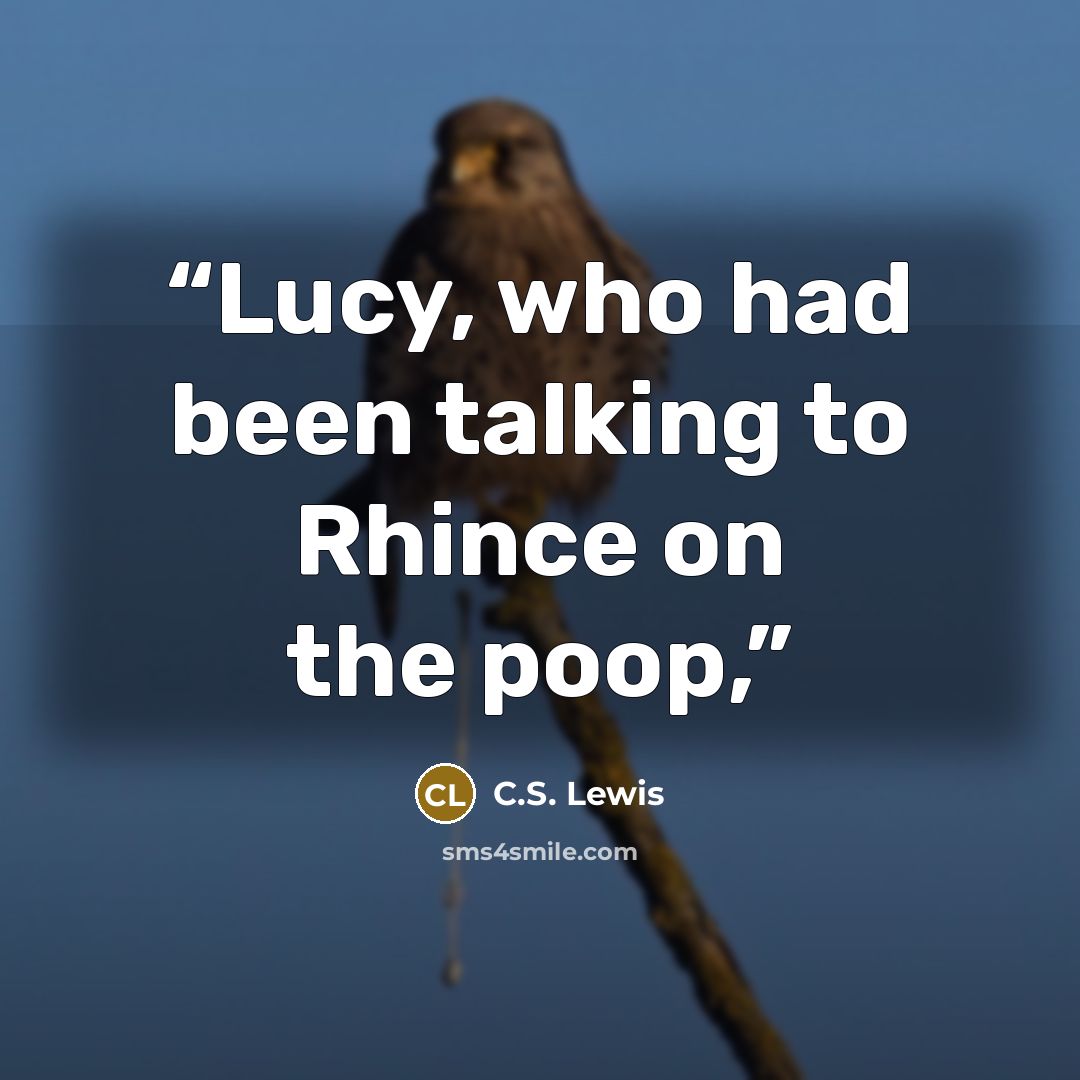 “Lucy, who had been talking to Rhince on the poop,” quote by C.S. Lewis