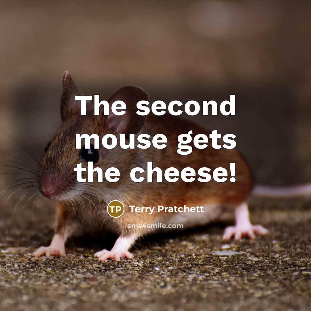 “The second mouse gets the cheese!” quote by Terry Pratchett