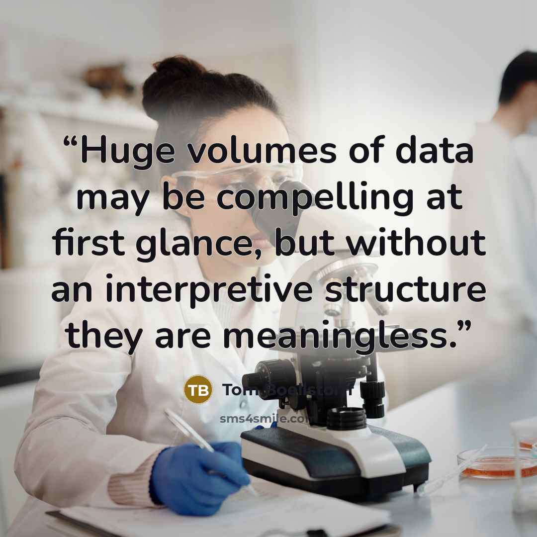 “Huge volumes of data may be compelling at first glance, but without an interpretive structure they are meaningless.” quote by Tom Boellstorff