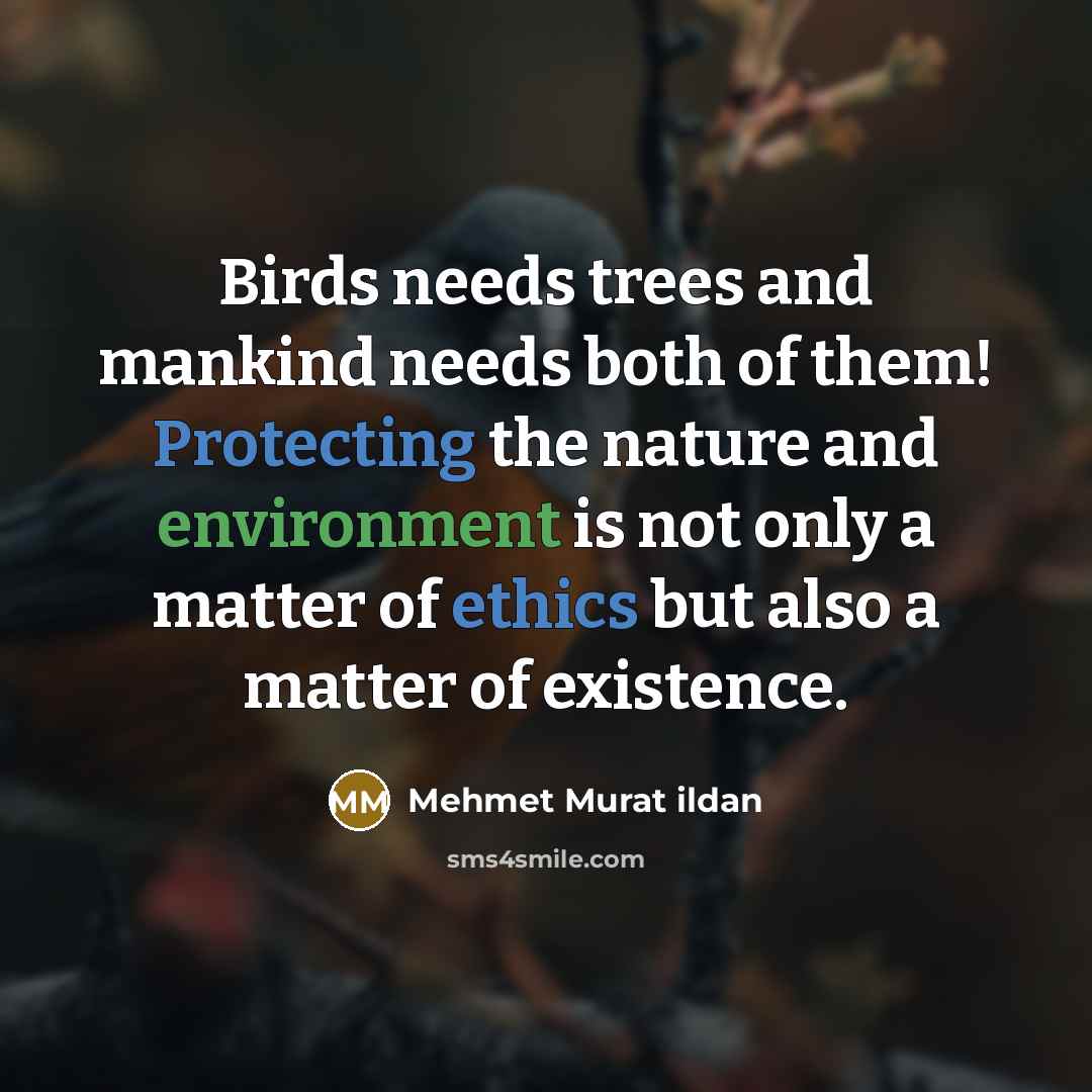 “Birds needs trees and mankind needs both of them! Protecting the nature and environment is not only a matter of ethics but also a matter of existence.” quote by Mehmet Murat Ildan