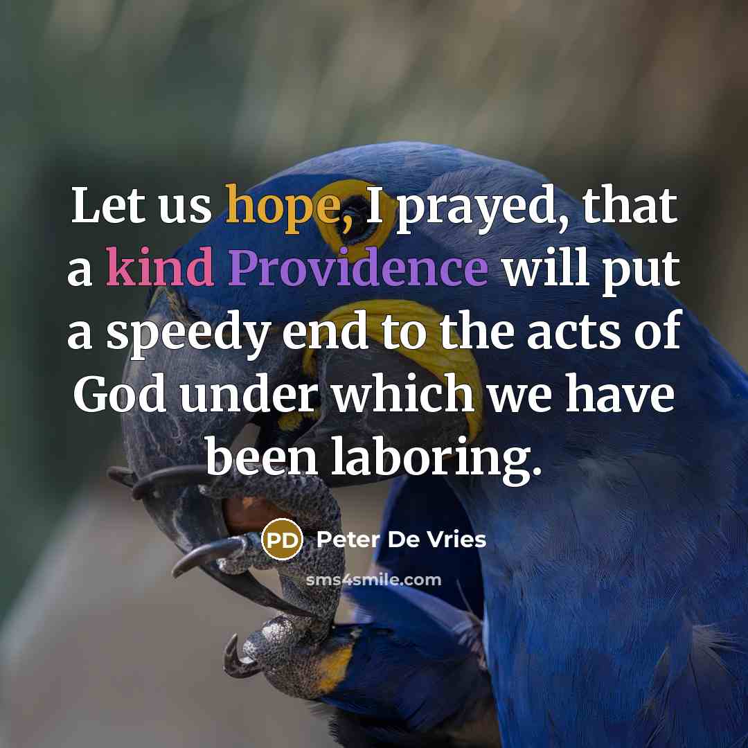 “Let us hope, I prayed, that a kind Providence will put a speedy end to the acts of God under which we have been laboring.” quote by Peter De Vries