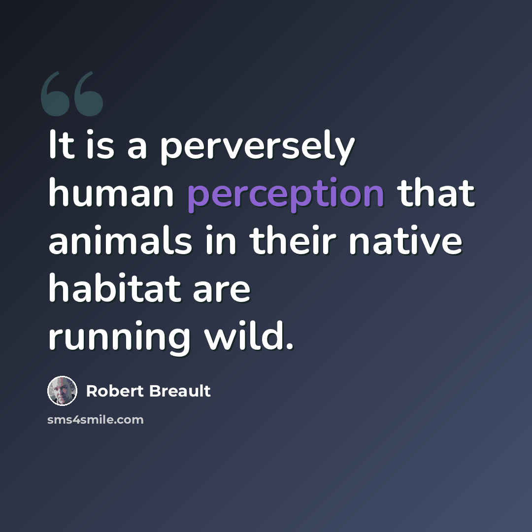 “It is a perversely human perception that animals in their native habitat are running wild.” quote by Robert Breault