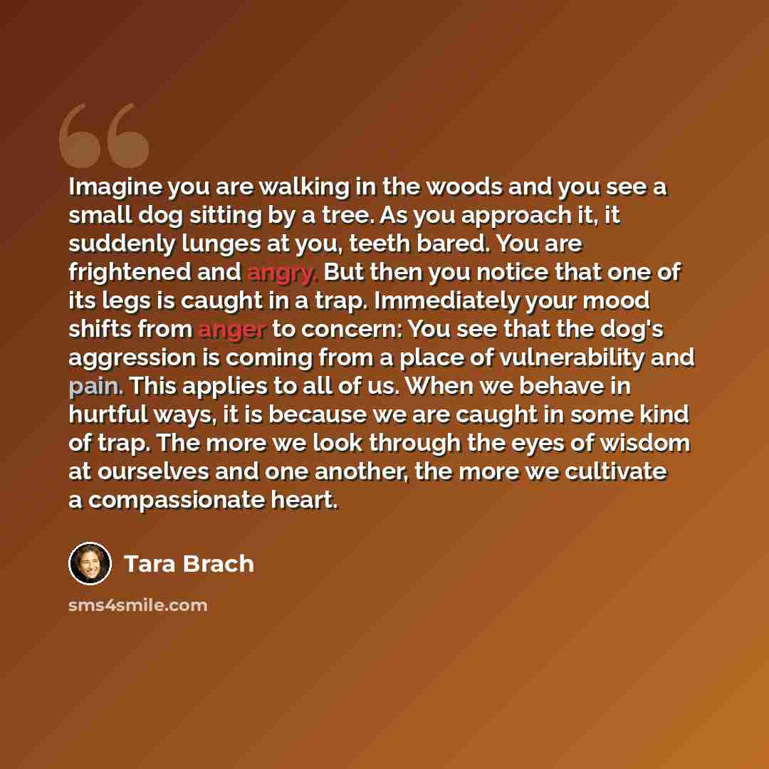 “Imagine you are walking in the woods and you see a small dog sitting by a tree. As you approach it, it suddenly lunges at you, teeth bared. You are frightened and angry. But then you notice that one of its legs is caught in a trap. Immediately your mood shifts from anger to concern: You see that…” quote by Tara Brach