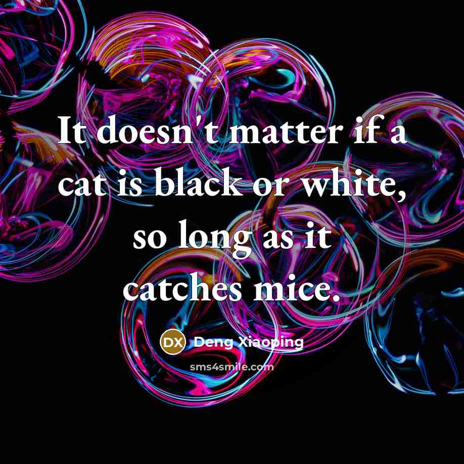 “It doesn't matter if a cat is black or white, so long as it catches mice.” quote by Deng Xiaoping