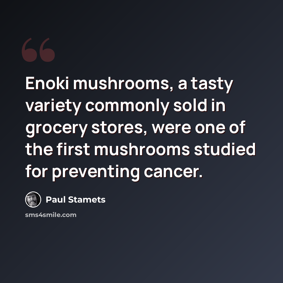 “Enoki mushrooms, a tasty variety commonly sold in grocery stores, were one of the first mushrooms studied for preventing cancer.” quote by Paul Stamets