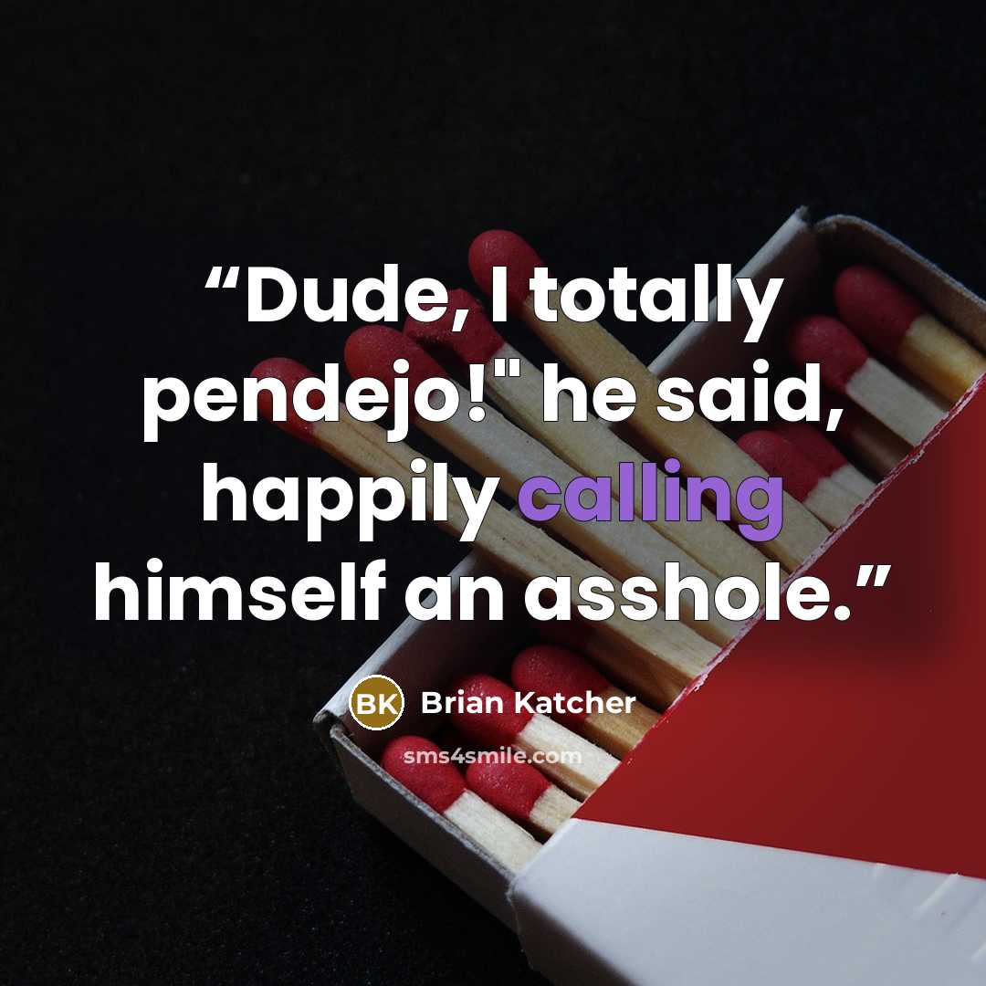 “Dude, I totally pendejo!" he said, happily calling himself an asshole.” quote by Brian Katcher