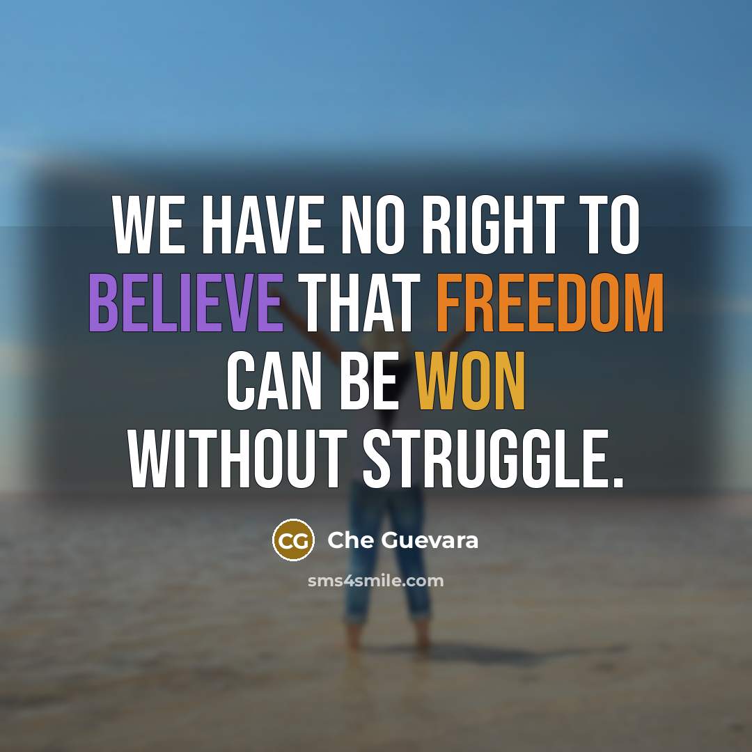 “We have no right to believe that freedom can be won without struggle.” quote by Che Guevara