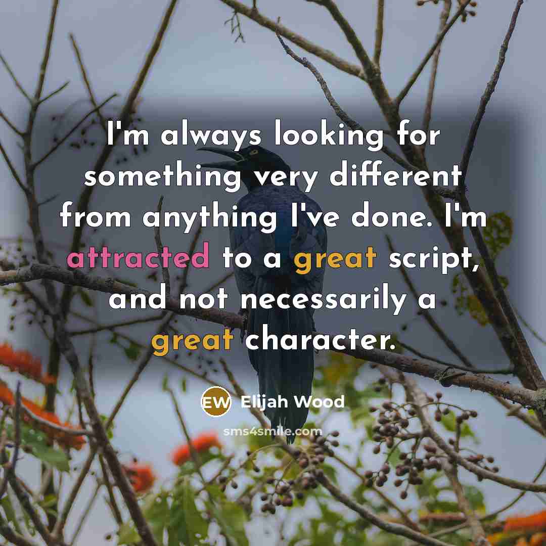 “I'm always looking for something very different from anything I've done. I'm attracted to a great script, and not necessarily a great character.” quote by Elijah Wood