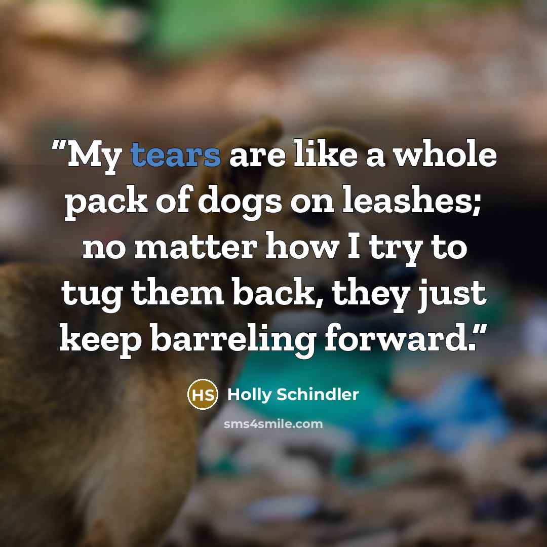 “My tears are like a whole pack of dogs on leashes; no matter how I try to tug them back, they just keep barreling forward.” quote by Holly Schindler