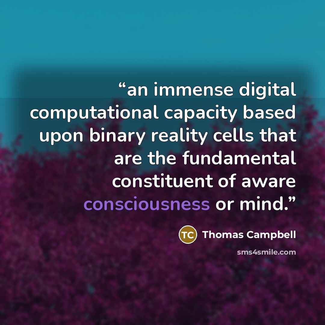 “an immense digital computational capacity based upon binary reality cells that are the fundamental constituent of aware consciousness or mind.” quote by Thomas Campbell