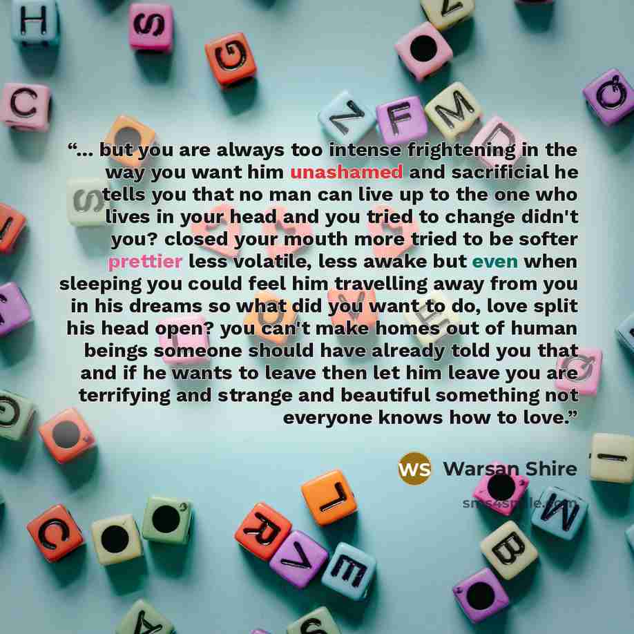 “... but you are always too intense frightening in the way you want him unashamed and sacrificial he tells you that no man can live up to the one who lives in your head and you tried to change didn't you? closed your mouth more tried to be softer prettier less volatile, less awake but even when…” quote by Warsan Shire