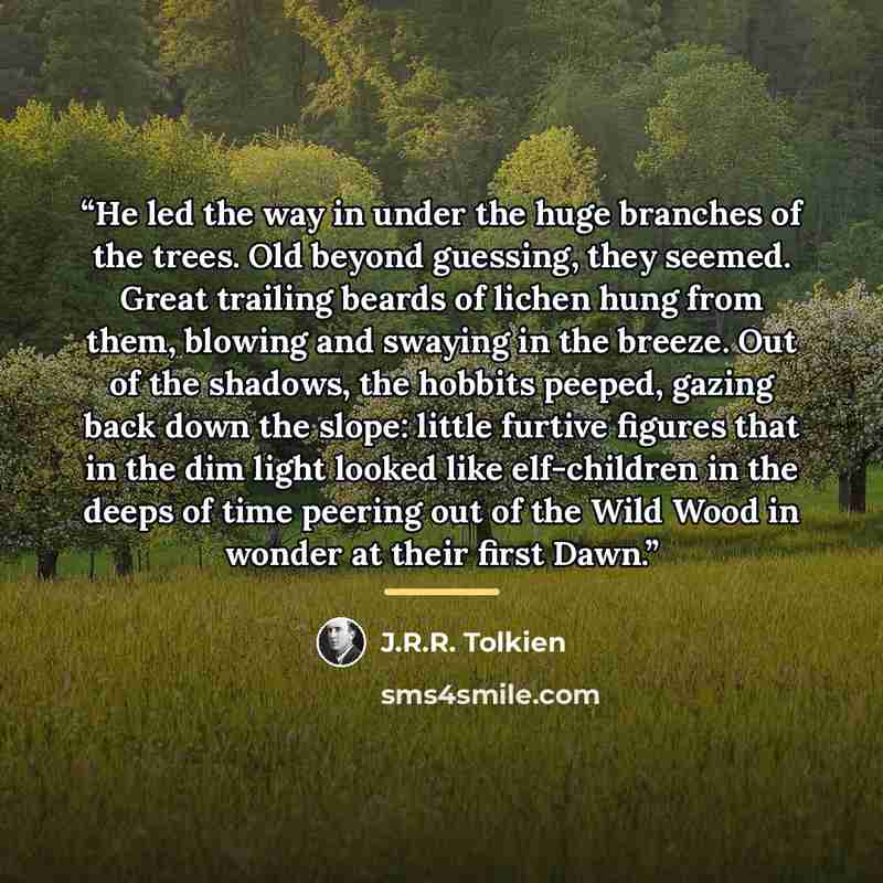 “He led the way in under the huge branches of the trees. Old beyond guessing, they seemed. Great trailing beards of lichen hung from them, blowing and swaying in the breeze. Out of the shadows, the hobbits peeped, gazing back down the slope: little furtive figures that in the dim light looked like…” quote by J.R.R. Tolkien