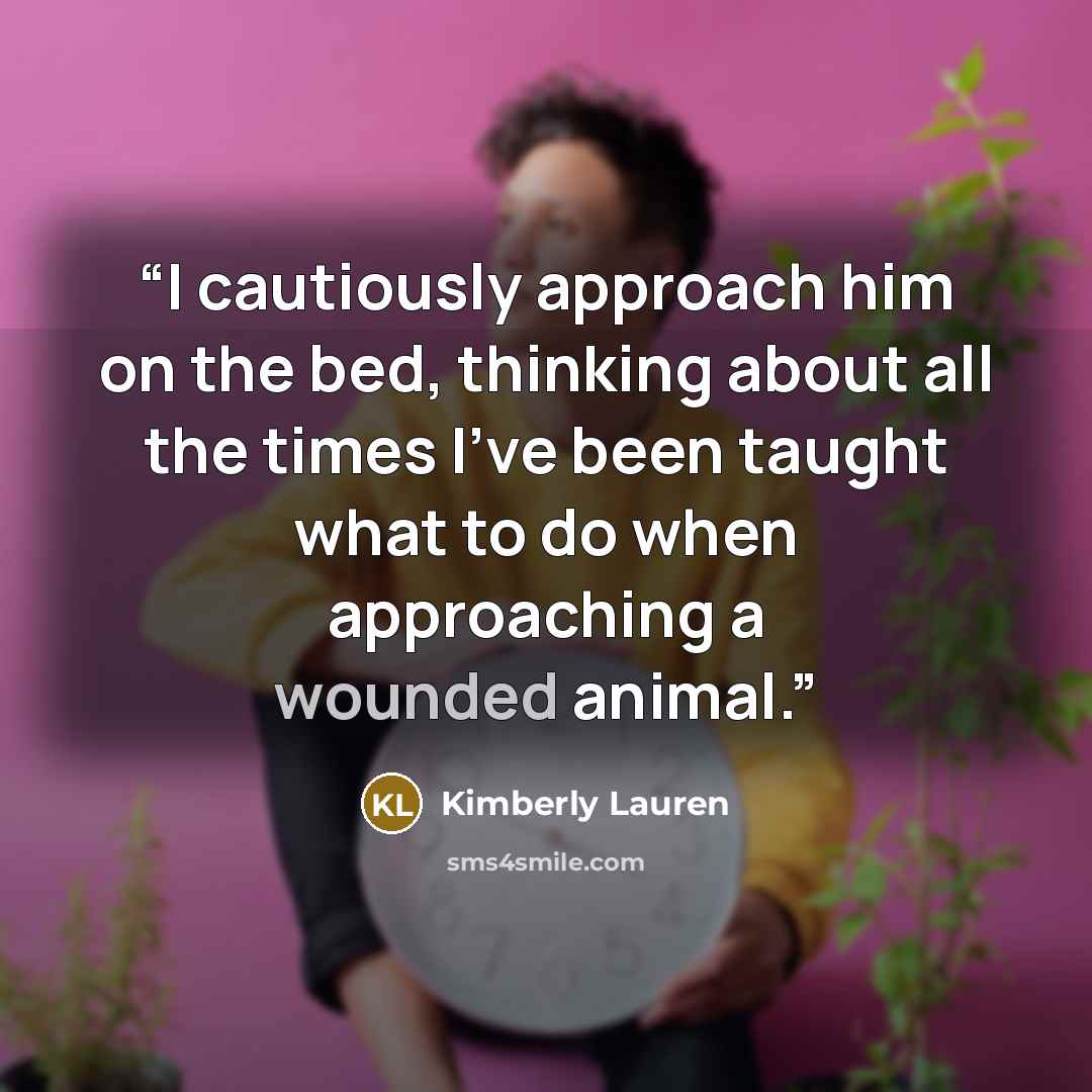 “I cautiously approach him on the bed, thinking about all the times I've been taught what to do when approaching a wounded animal.” quote by Kimberly Lauren