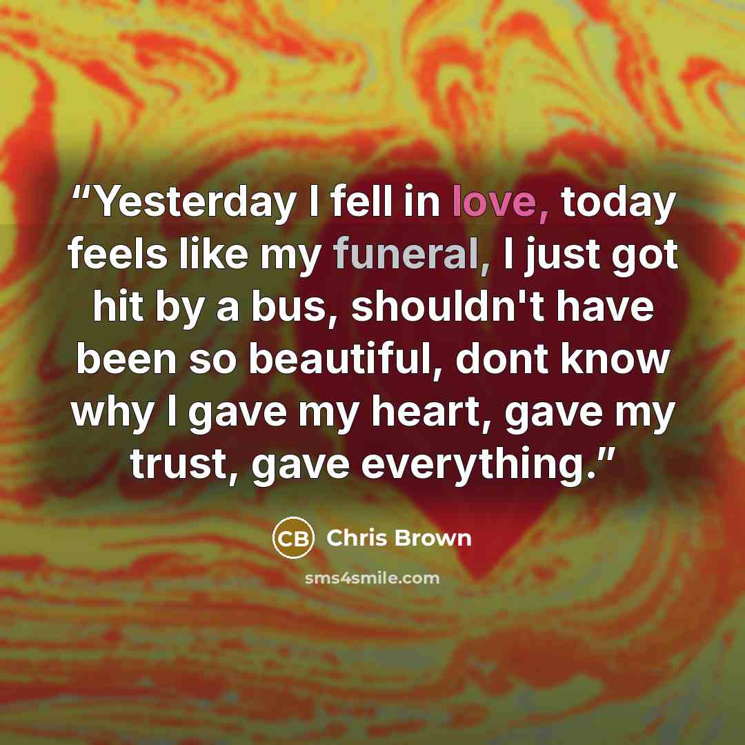 “Yesterday I fell in love, today feels like my funeral, I just got hit by a bus, shouldn't have been so beautiful, dont know why I gave my heart, gave my trust, gave everything.” quote by Chris Brown