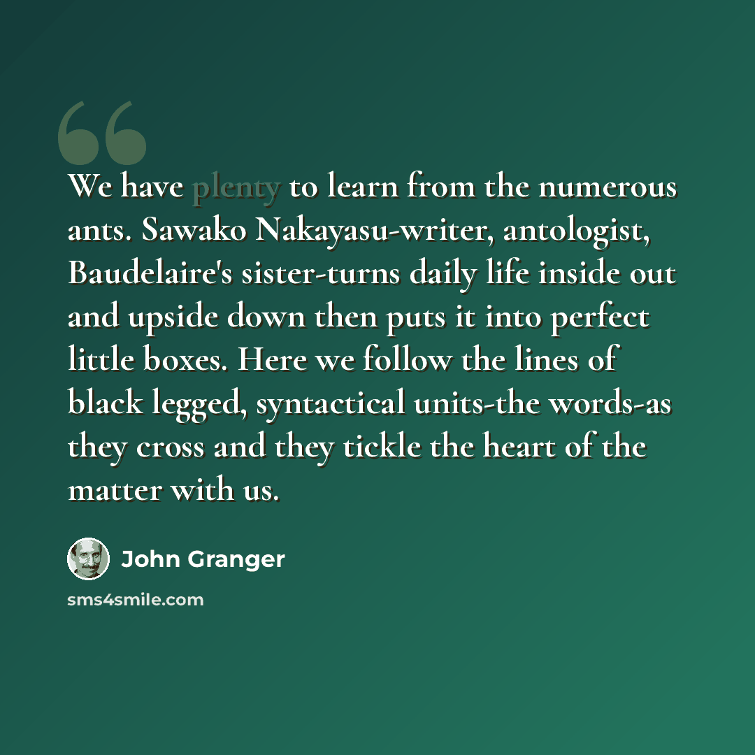“We have plenty to learn from the numerous ants. Sawako Nakayasu-writer, antologist, Baudelaire's sister-turns daily life inside out and upside down then puts it into perfect little boxes. Here we follow the lines of black legged, syntactical units-the words-as they cross and they tickle the heart…” quote by John Granger
