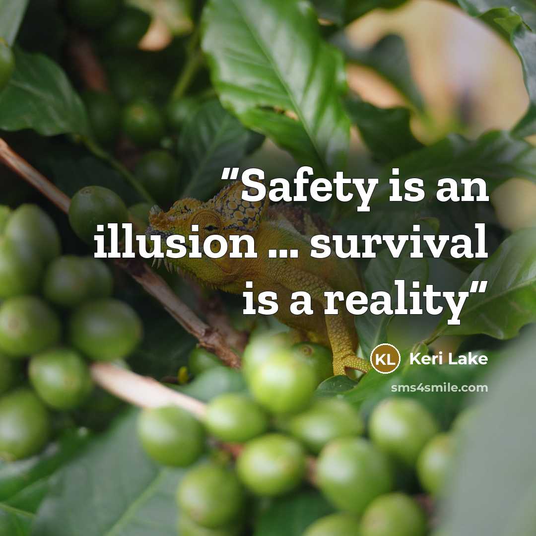 “Safety is an illusion … survival is a reality” quote by Keri Lake