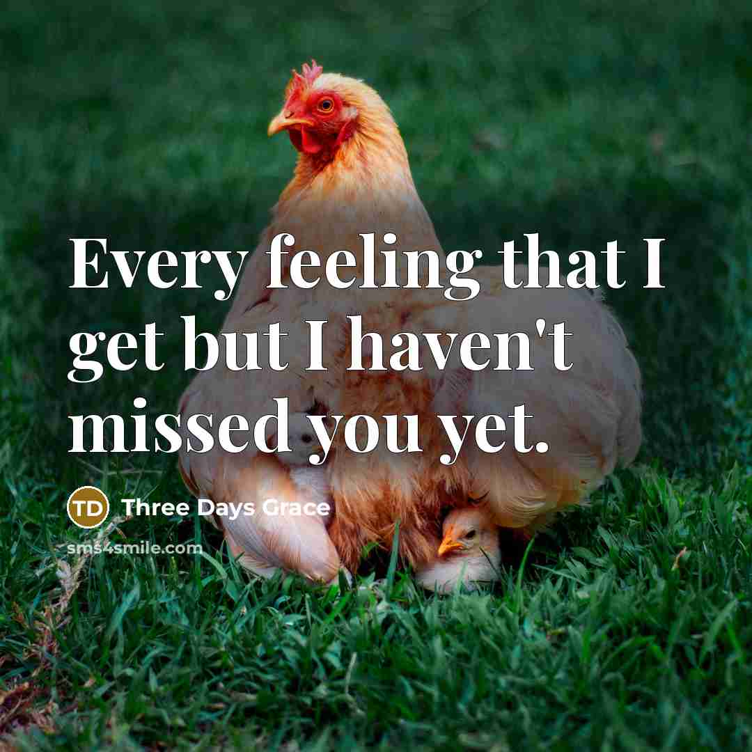 “Every feeling that I get but I haven't missed you yet.” quote by Three Days Grace