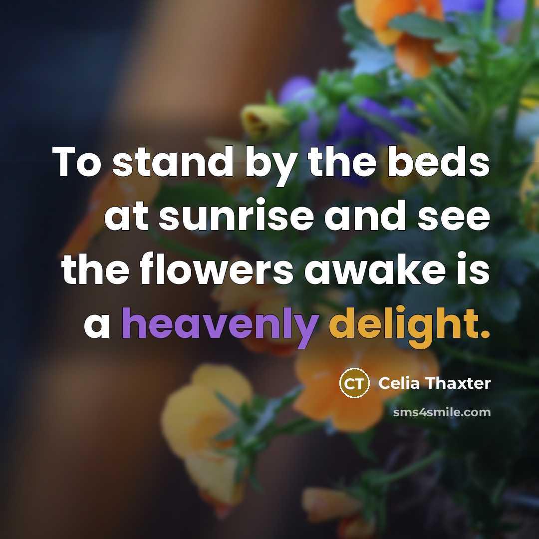 “To stand by the beds at sunrise and see the flowers awake is a heavenly delight.” quote by Celia Thaxter