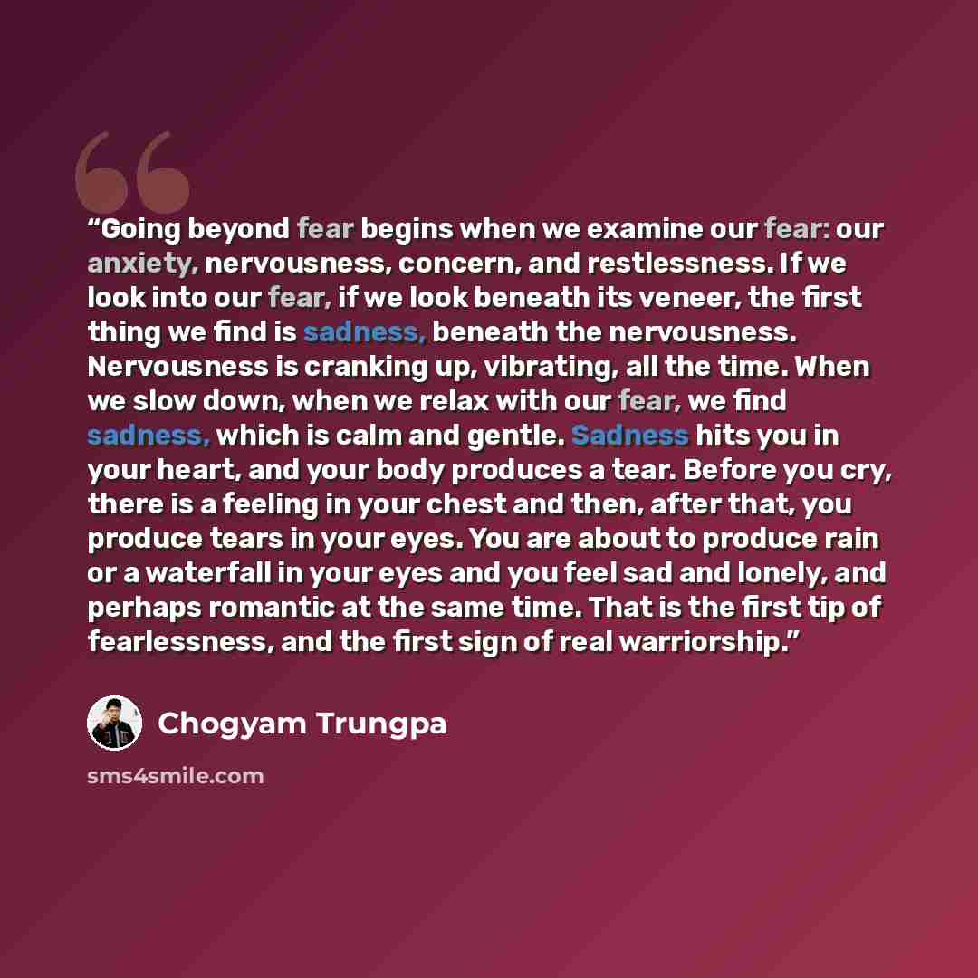 “Going beyond fear begins when we examine our fear: our anxiety, nervousness, concern, and restlessness. If we look into our fear, if we look beneath its veneer, the first thing we find is sadness, beneath the nervousness. Nervousness is cranking up, vibrating, all the time. When we slow down, when…” quote by Chögyam Trungpa