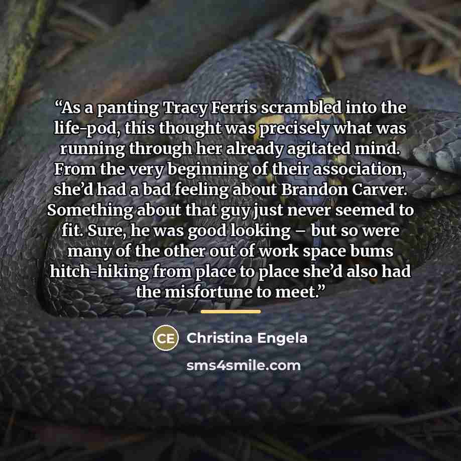 “As a panting Tracy Ferris scrambled into the life-pod, this thought was precisely what was running through her already agitated mind. From the very beginning of their association, she’d had a bad feeling about Brandon Carver. Something about that guy just never seemed to fit. Sure, he was good…” quote by Christina Engela