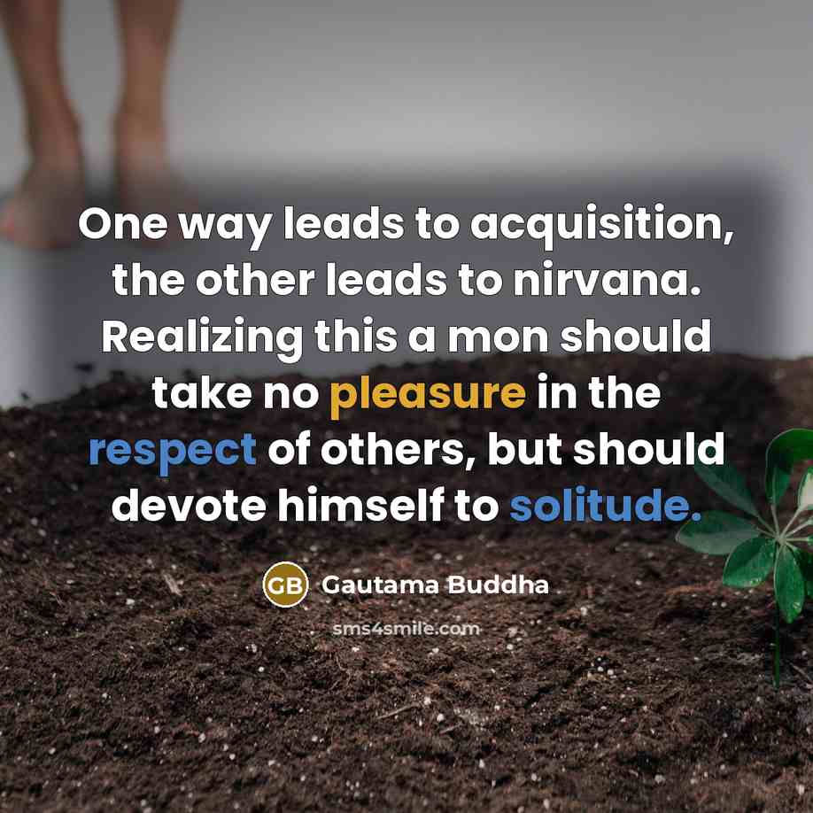 “One way leads to acquisition, the other leads to nirvana. Realizing this a mon should take no pleasure in the respect of others, but should devote himself to solitude.” quote by Gautama Buddha