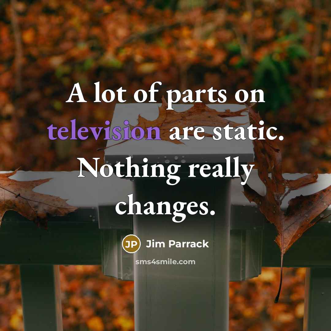 “A lot of parts on television are static. Nothing really changes.” quote by Jim Parrack