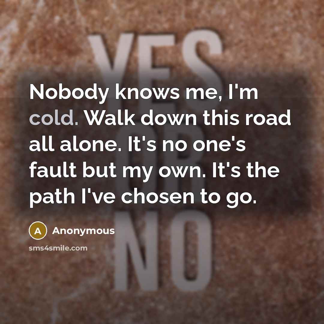 “Nobody knows me, I'm cold. Walk down this road all alone. It's no one's fault but my own. It's the path I've chosen to go.” quote by Anonymous